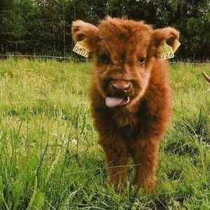 Meet your Posher, Autumn